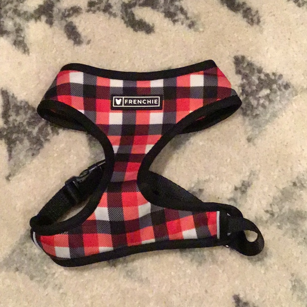 Harness for dog